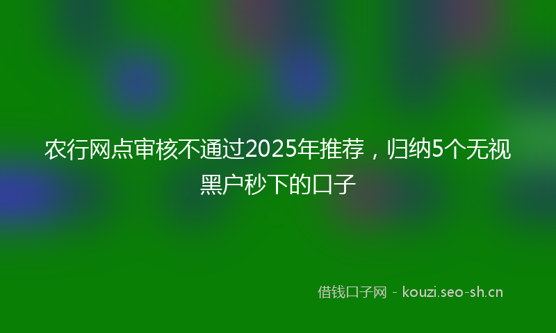 农行网点审核不通过2025年推荐，归纳5个无视黑户秒下的口子