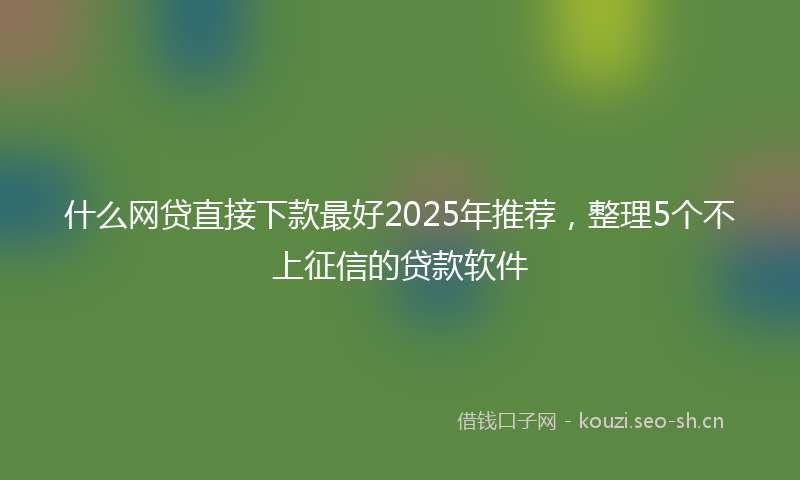什么网贷直接下款最好2025年推荐,整理5个不上征信的贷款软件