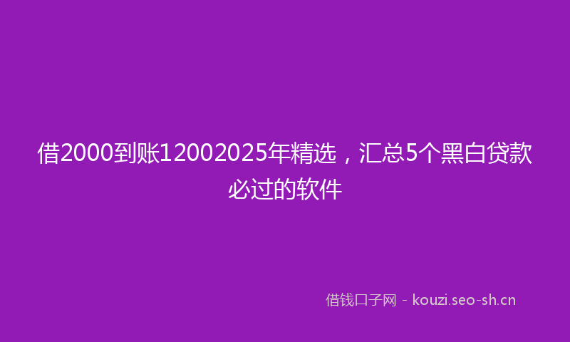 借2000到账12002025年精选,汇总5个黑白贷款必过的软件