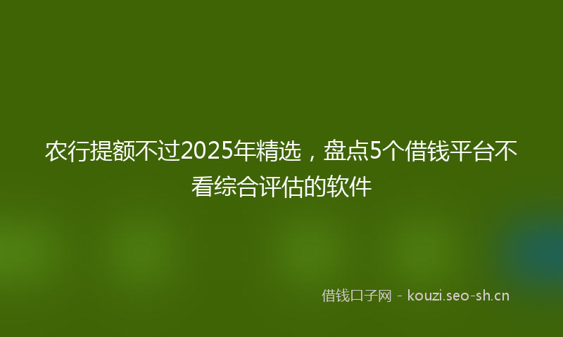 农行提额不过2025年精选，盘点5个借钱平台不看综合评估的软件