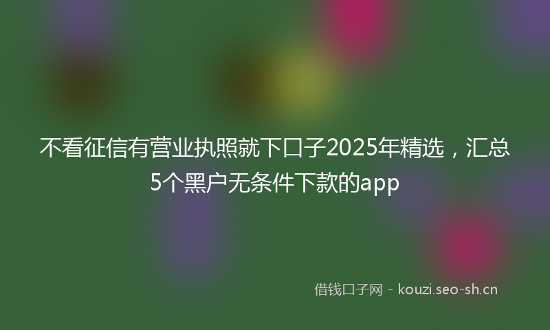 不看征信有营业执照就下口子2025年精选，汇总5个黑户无条件下款的app