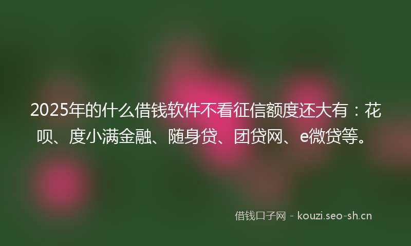 2025年的什么借钱软件不看征信额度还大有:花呗、度小满金融、随身贷、团贷网、e微贷等。