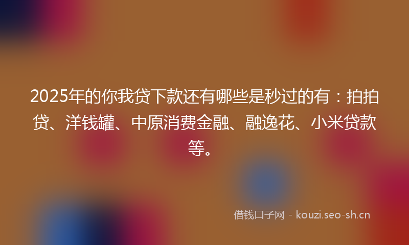 2025年的你我贷下款还有哪些是秒过的有：拍拍贷、洋钱罐、中原消费金融、融逸花、小米贷款等。