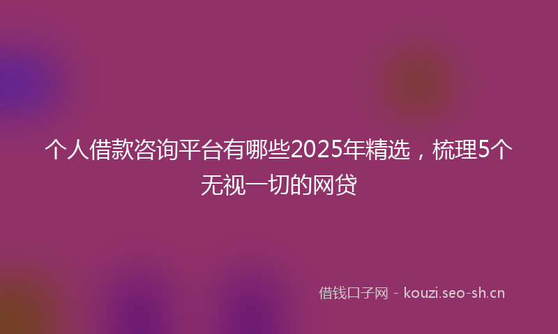 个人借款咨询平台有哪些2025年精选，梳理5个无视一切的网贷