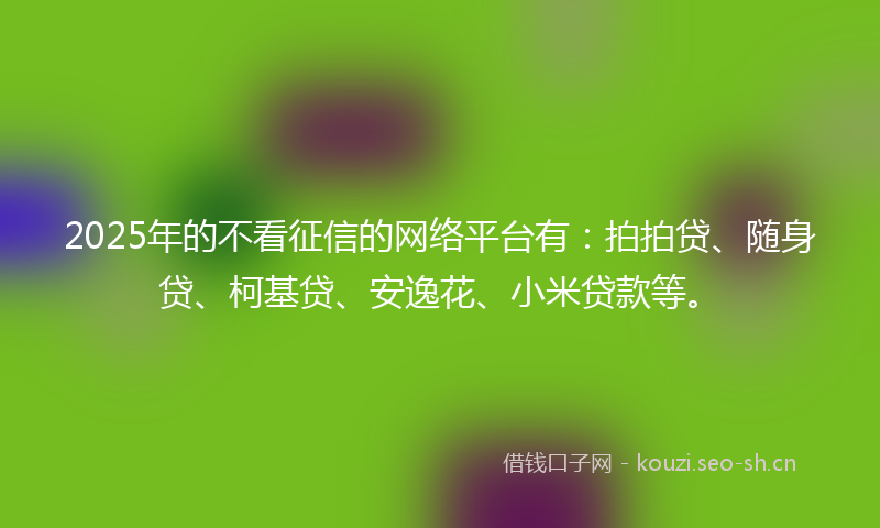 2025年的不看征信的网络平台有：拍拍贷、随身贷、柯基贷、安逸花、小米贷款等。