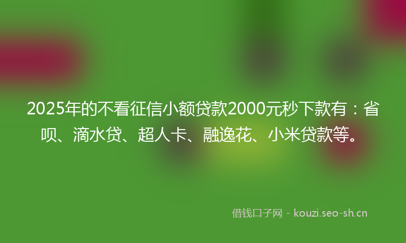 2025年的不看征信小额贷款2000元秒下款有：省呗、滴水贷、超人卡、融逸花、小米贷款等。