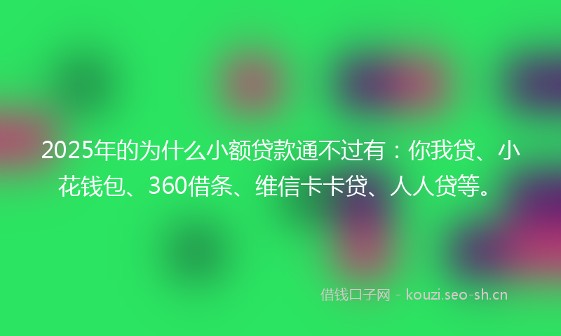 2025年的为什么小额贷款通不过有：你我贷、小花钱包、360借条、维信卡卡贷、人人贷等。