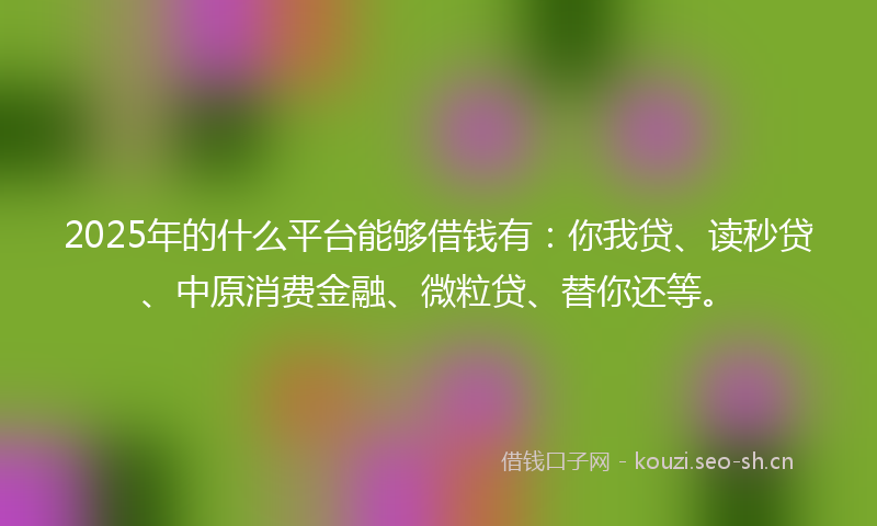 2025年的什么平台能够借钱有：你我贷、读秒贷、中原消费金融、微粒贷、替你还等。