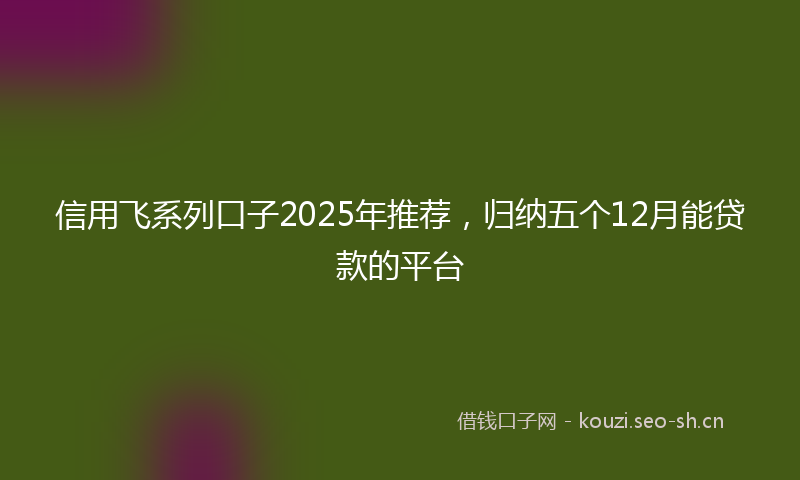 信用飞系列口子2025年推荐，归纳五个12月能贷款的平台