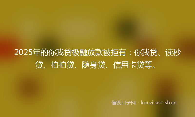 2025年的你我贷极融放款被拒有：你我贷、读秒贷、拍拍贷、随身贷、信用卡贷等。