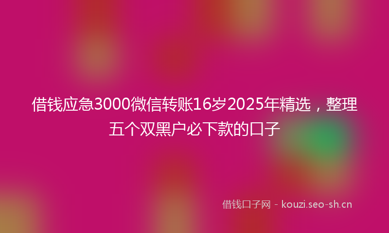 借钱应急3000微信转账16岁2025年精选，整理五个双黑户必下款的口子