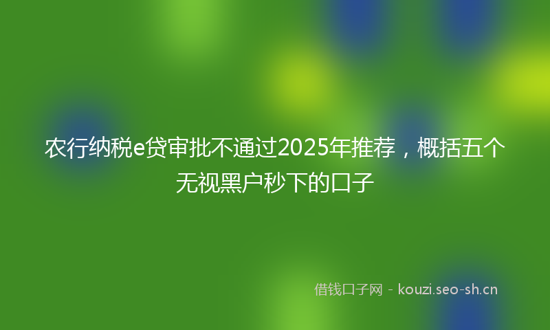 农行纳税e贷审批不通过2025年推荐，概括五个无视黑户秒下的口子
