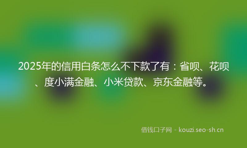 2025年的信用白条怎么不下款了有：省呗、花呗、度小满金融、小米贷款、京东金融等。
