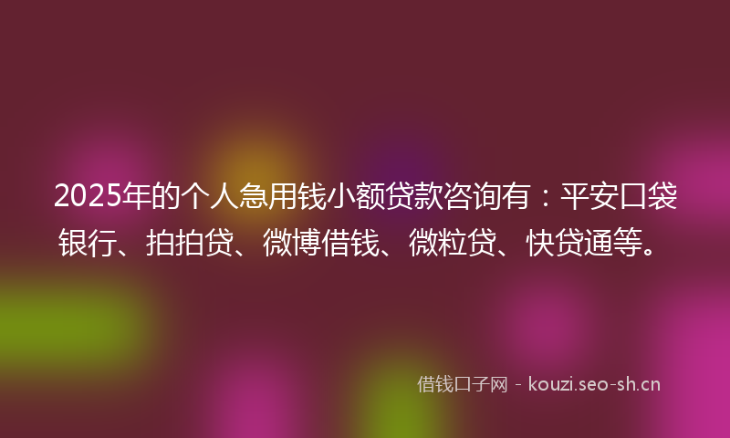 2025年的个人急用钱小额贷款咨询有：平安口袋银行、拍拍贷、微博借钱、微粒贷、快贷通等。
