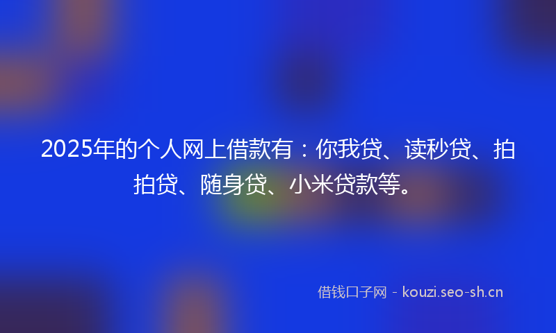 2025年的个人网上借款有：你我贷、读秒贷、拍拍贷、随身贷、小米贷款等。