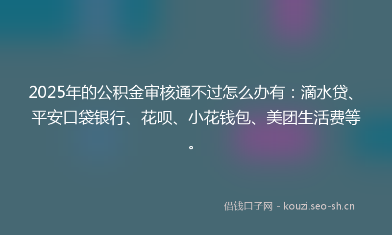 2025年的公积金审核通不过怎么办有：滴水贷、平安口袋银行、花呗、小花钱包、美团生活费等。