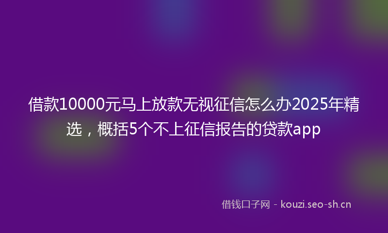 借款10000元马上放款无视征信怎么办2025年精选，概括5个不上征信报告的贷款app