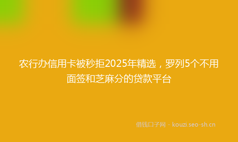农行办信用卡被秒拒2025年精选,罗列5个不用面签和芝麻分的贷款平台