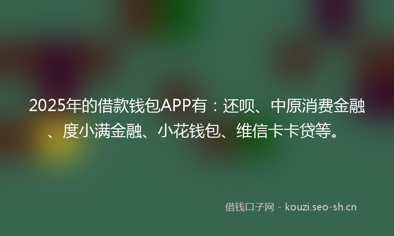 2025年的借款钱包APP有：还呗、中原消费金融、度小满金融、小花钱包、维信卡卡贷等。