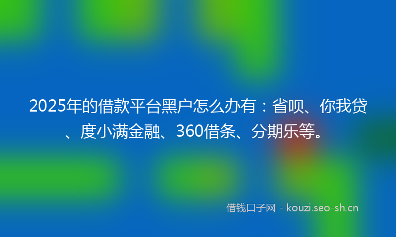 2025年的借款平台黑户怎么办有:省呗、你我贷、度小满金融、360借条、分期乐等。