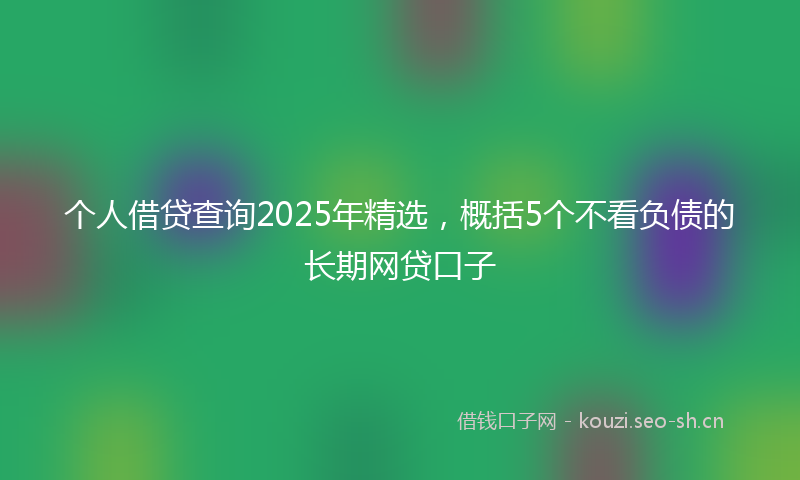 个人借贷查询2025年精选，概括5个不看负债的长期网贷口子