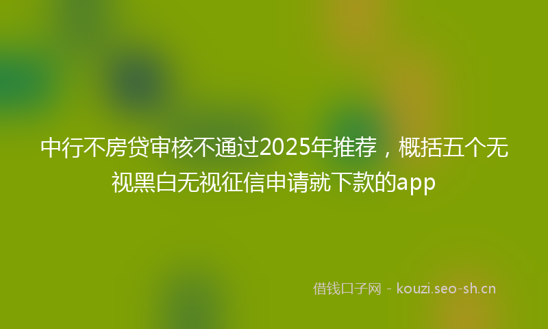 中行不房贷审核不通过2025年推荐，概括五个无视黑白无视征信申请就下款的app
