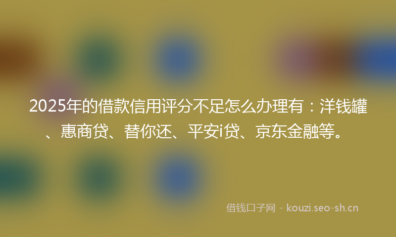 2025年的借款信用评分不足怎么办理有：洋钱罐、惠商贷、替你还、平安i贷、京东金融等。