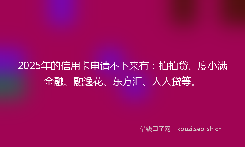 2025年的信用卡申请不下来有：拍拍贷、度小满金融、融逸花、东方汇、人人贷等。