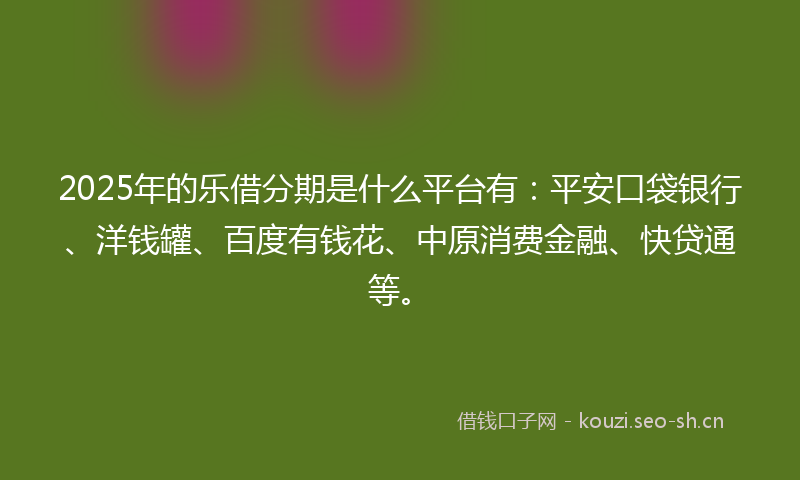 2025年的乐借分期是什么平台有：平安口袋银行、洋钱罐、百度有钱花、中原消费金融、快贷通等。
