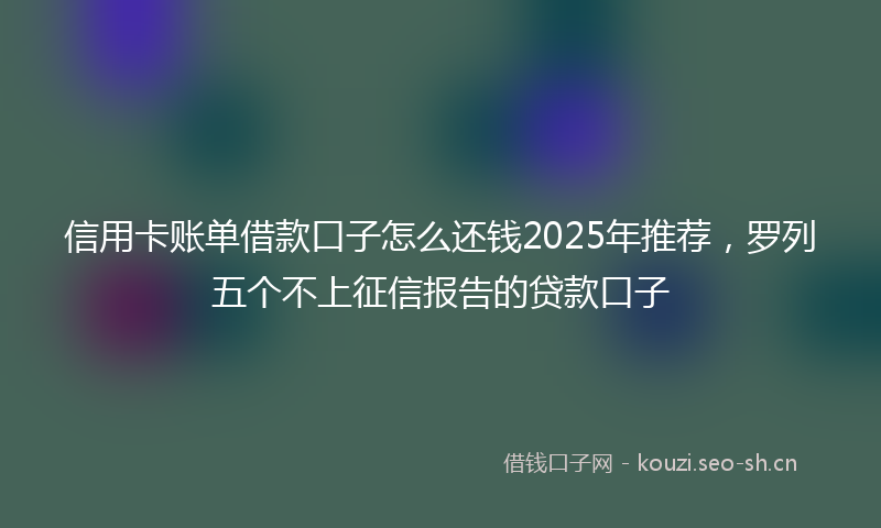 信用卡账单借款口子怎么还钱2025年推荐，罗列五个不上征信报告的贷款口子