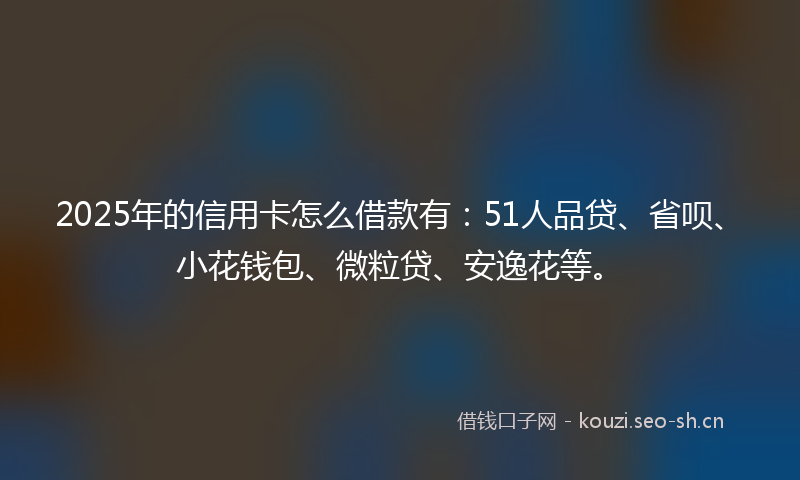 2025年的信用卡怎么借款有：51人品贷、省呗、小花钱包、微粒贷、安逸花等。