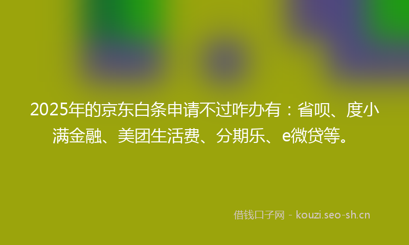 2025年的京东白条申请不过咋办有：省呗、度小满金融、美团生活费、分期乐、e微贷等。