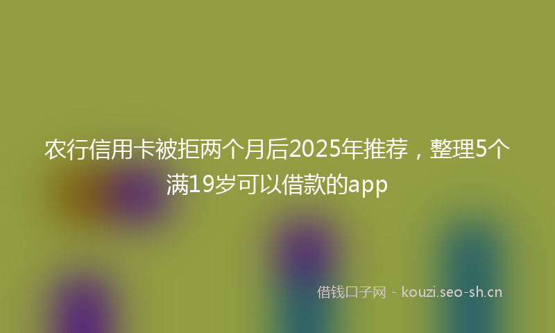 农行信用卡被拒两个月后2025年推荐，整理5个满19岁可以借款的app