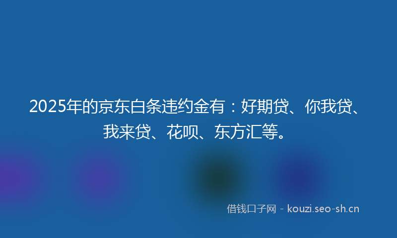 2025年的京东白条违约金有：好期贷、你我贷、我来贷、花呗、东方汇等。
