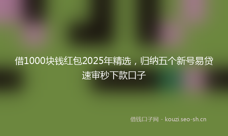 借1000块钱红包2025年精选，归纳五个新号易贷速审秒下款口子