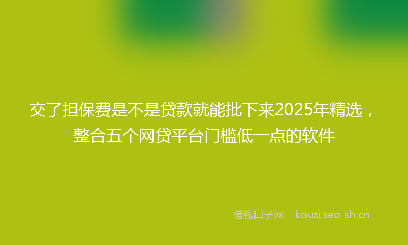 交了担保费是不是贷款就能批下来2025年精选，整合五个网贷平台门槛低一点的软件