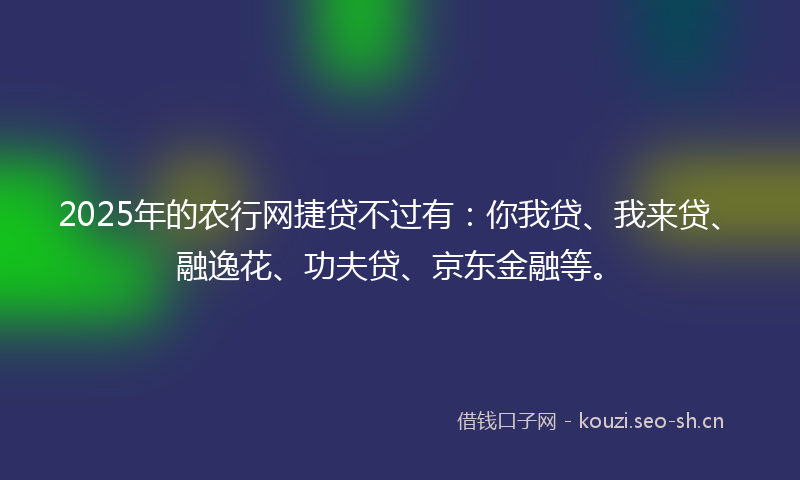 2025年的农行网捷贷不过有：你我贷、我来贷、融逸花、功夫贷、京东金融等。