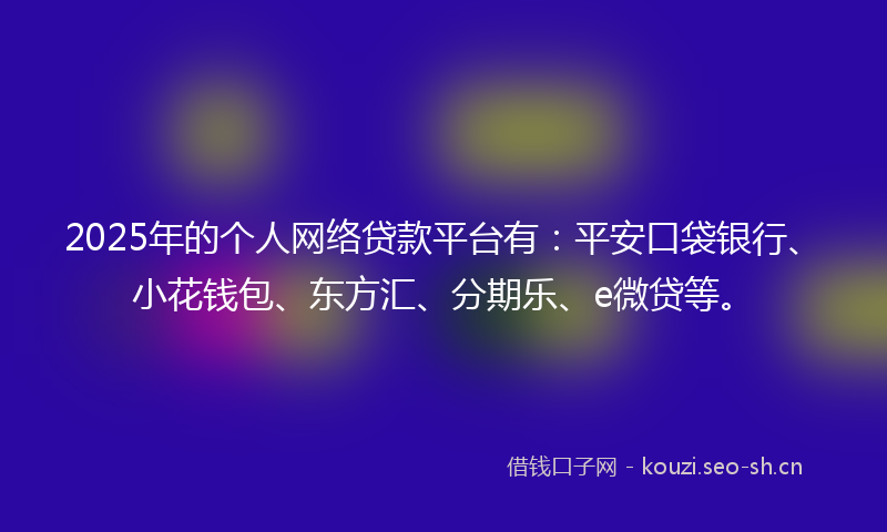 2025年的个人网络贷款平台有：平安口袋银行、小花钱包、东方汇、分期乐、e微贷等。