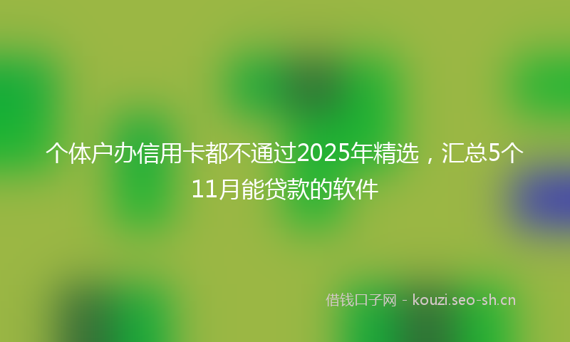 个体户办信用卡都不通过2025年精选，汇总5个11月能贷款的软件