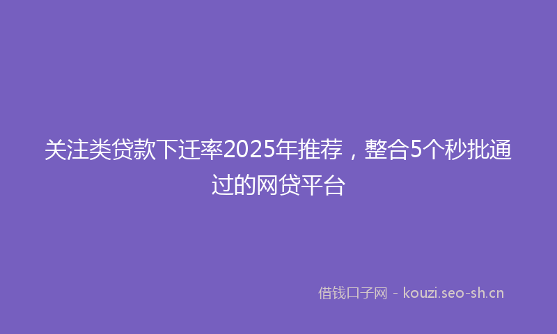 关注类贷款下迁率2025年推荐，整合5个秒批通过的网贷平台