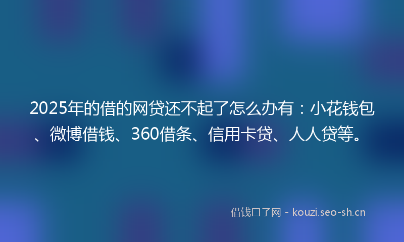 2025年的借的网贷还不起了怎么办有:小花钱包、微博借钱、360借条、信用卡贷、人人贷等。