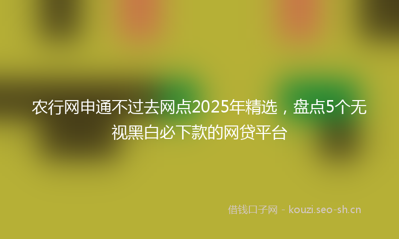 农行网申通不过去网点2025年精选，盘点5个无视黑白必下款的网贷平台
