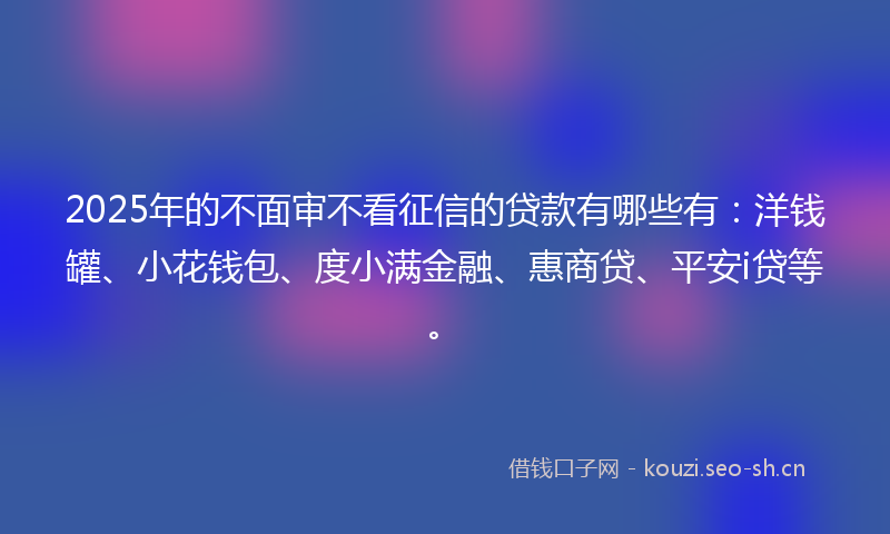 2025年的不面审不看征信的贷款有哪些有：洋钱罐、小花钱包、度小满金融、惠商贷、平安i贷等。