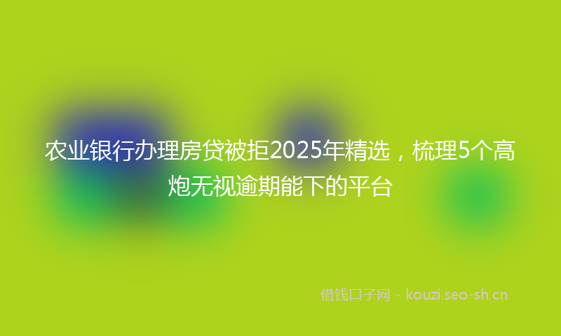 农业银行办理房贷被拒2025年精选，梳理5个高炮无视逾期能下的平台
