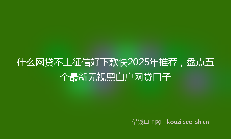 什么网贷不上征信好下款快2025年推荐，盘点五个最新无视黑白户网贷口子