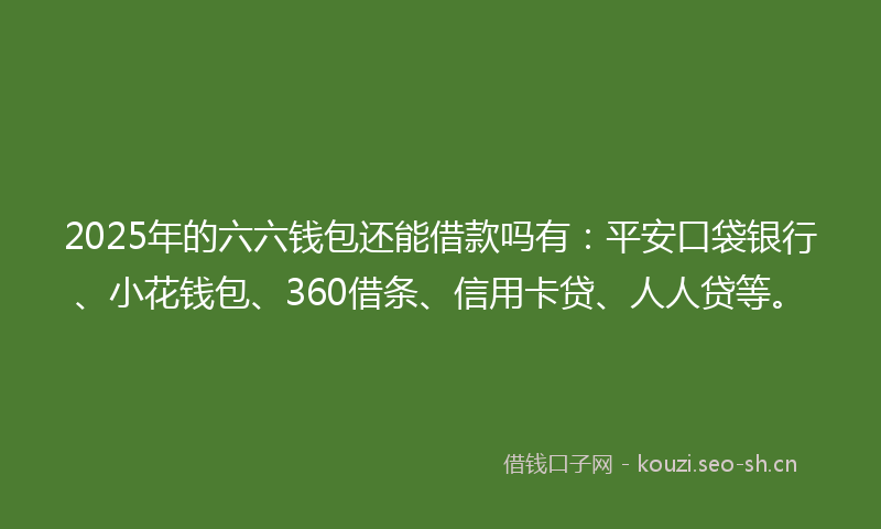2025年的六六钱包还能借款吗有：平安口袋银行、小花钱包、360借条、信用卡贷、人人贷等。