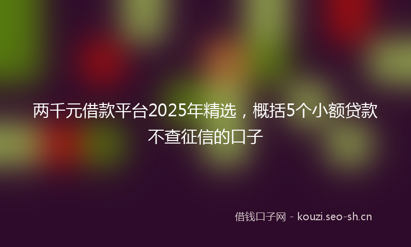 两千元借款平台2025年精选，概括5个小额贷款不查征信的口子