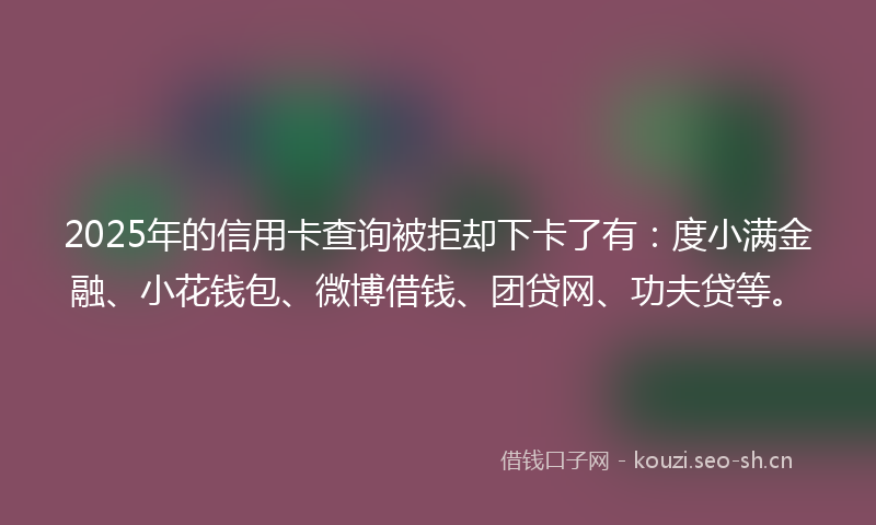 2025年的信用卡查询被拒却下卡了有：度小满金融、小花钱包、微博借钱、团贷网、功夫贷等。