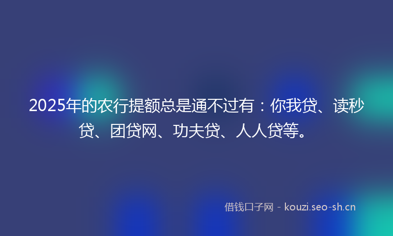 2025年的农行提额总是通不过有：你我贷、读秒贷、团贷网、功夫贷、人人贷等。