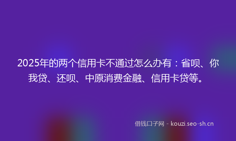 2025年的两个信用卡不通过怎么办有：省呗、你我贷、还呗、中原消费金融、信用卡贷等。